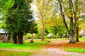 Im Klosterpark